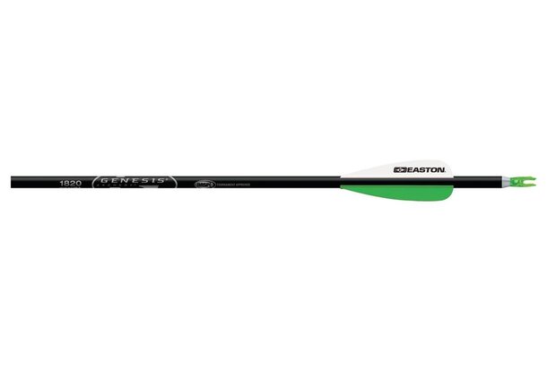 Easton XX75 Genesis  | 6-Pack